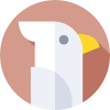 cockatoo-icon