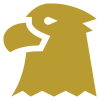 hawk-eagle-icon